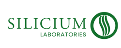logo-silicium