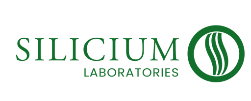 logo-silicium