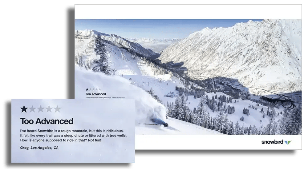 snowbird-ad-negative-review